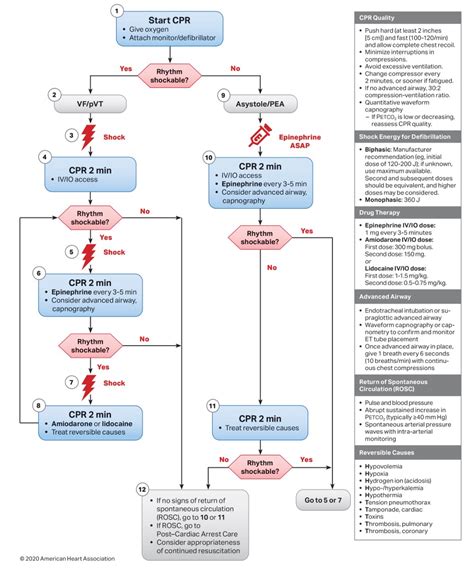 dead  arrival     international emergency medicine