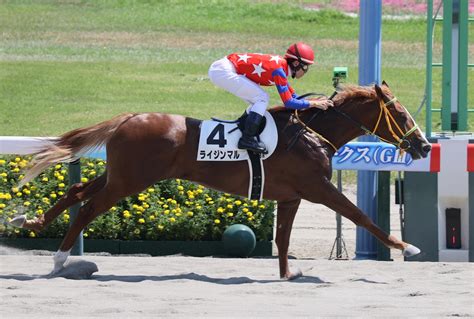 【新馬戦】ライジンマル 8馬身差で逃走v 竹内師「秋の府中の千六を目標に」 競馬ニュース Netkeiba