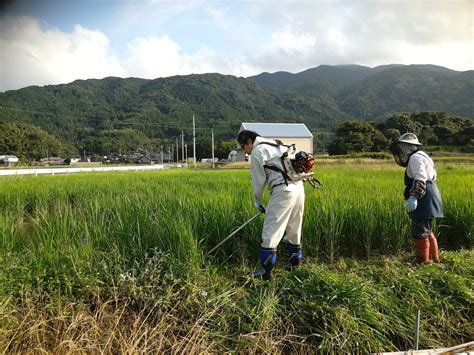 あぶない農業と儲かる農業