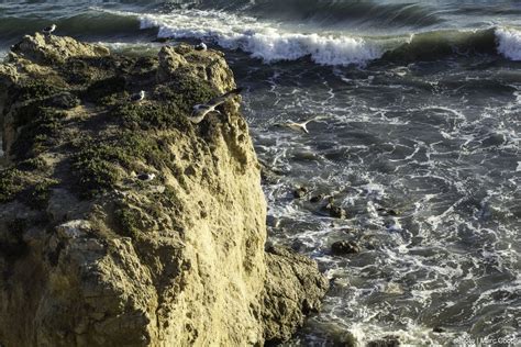 Free Images Beach Sea Coast Nature Rock Ocean Shore Cliff