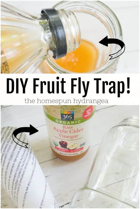 Easy Diy Fruit Fly Trap At Karen Nowell Blog