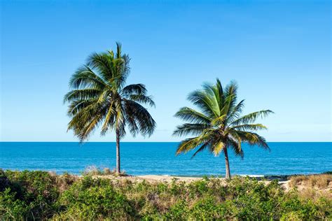 Discover the Secluded Paradise of Cocos (Keeling) Islands 🇨🇨 - Pristine ...