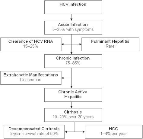 Surveillance Hepatitis And Liver Cancer Ncbi Bookshelf