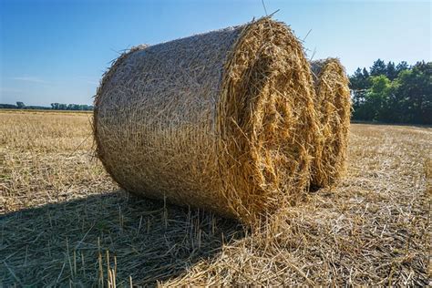 Fardos De Palha Colheita Foto Gratuita No Pixabay Pixabay