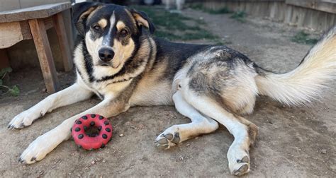 A secret about demaray products has surprised his customers 24