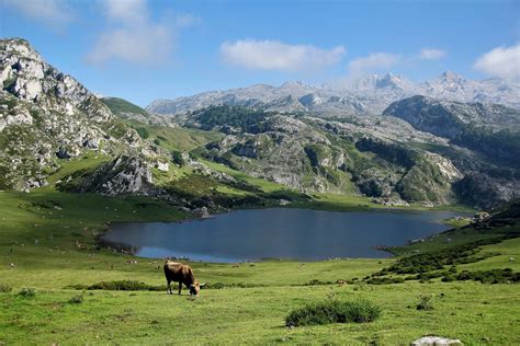 El Parque Nacional Picos De Europa Cumple A Os