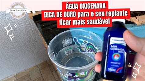 Dicas Dona Maria ÁGUA OXIGENADA DICA DE OURO para o seu replante