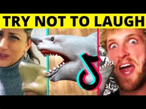 Try Not To Laugh Challenge Funny Shark Puppet 2020 YouTube