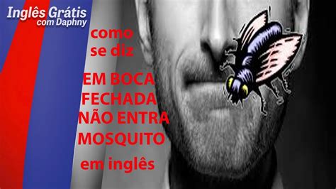 Como Se Fala Mosquito Em Ingl S Librain