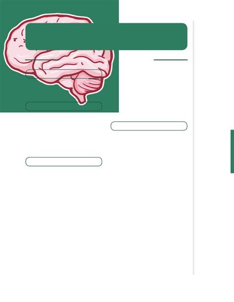 Head Injury Notes Diagrams Illustrations Osmosis