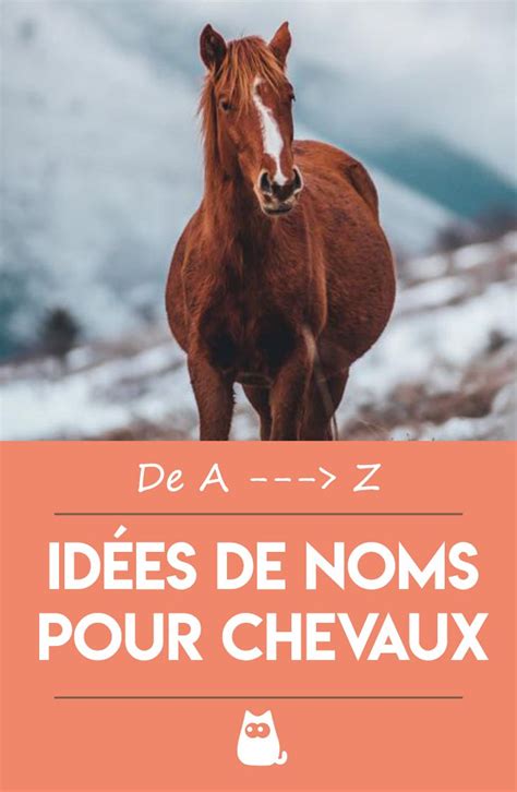 Noms Pour Chevaux M Les Et Femelles Cheval Nom Pour Chat