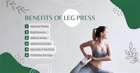 Leg Press Machines Types And Its Use- Artwithlifestyle