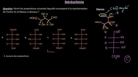 Réussir la représentation de Fisher d une molécule Exercice YouTube