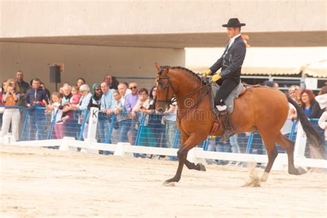 Roquetas De Mar Spain May Equestrian Show At The Plaza De