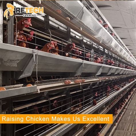 Good Price H Type Automatic Poultry Cage 5 Tiers Layer China Poultry