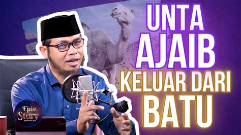 Kisah Nyata Unta Ajaib Yang Keluar Dari Batu Kisah Nabi Shalih Kaum