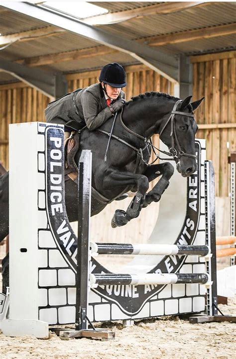 Horse Riding Cornwall An Abrs Riding School In Cornwall