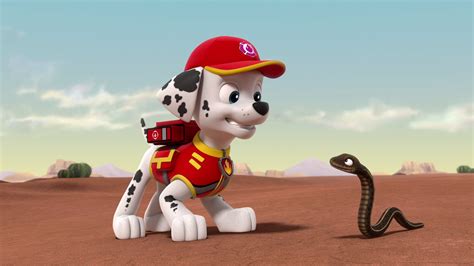 Paw Patrol S P Web Dl Ddp H Btn Gb