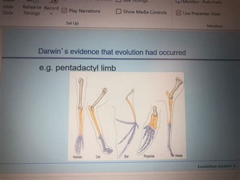 Evolution Key Concepts For Biology Flashcards Quizlet