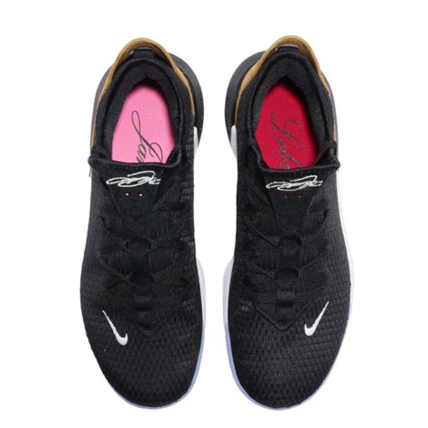 Nike Lebron Xvi Low Ep Black Multi Ci2669001