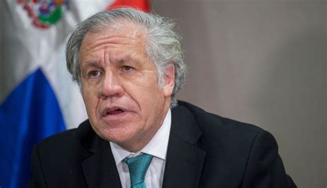 Secretario De La Oea Luis Almagro Es Reelecto Secretario General De La