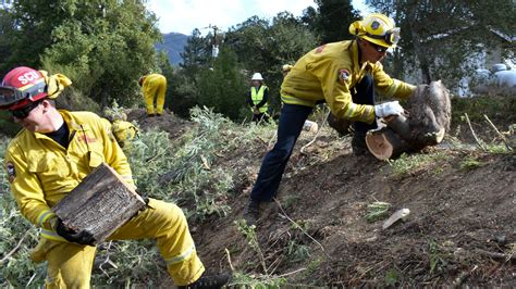 Report Gov Gavin Newsom Overstated Wildfire Prevention Work Ktla