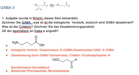 Altklausuren GABA Flashcards Quizlet