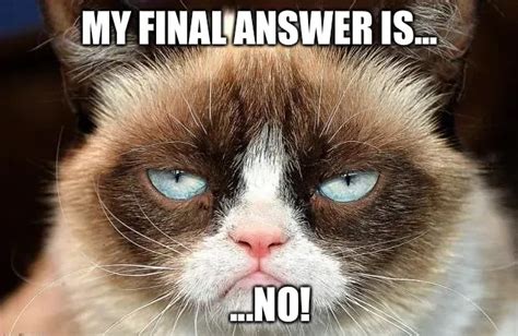 Grumpy Cat Not Amused Memes Pi Ata Farms The Best Meme Generator