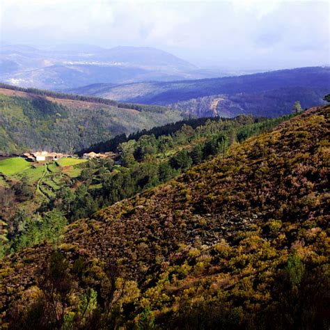 Caminho do Xisto das Aldeias de Góis GreenTrekker pt