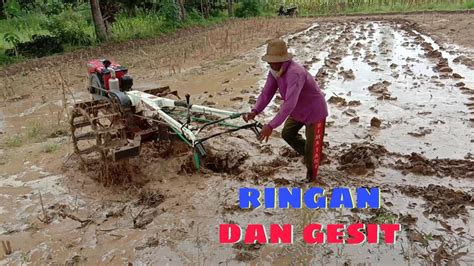 Terlihat Ringan Dan Gesit Traktor Sawah Quick G Zeva Bekerja Di