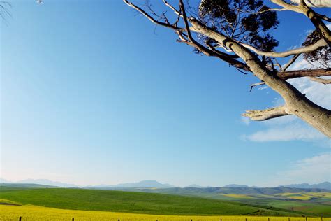 Free Images Landscape Tree Nature Horizon Sky Field Meadow