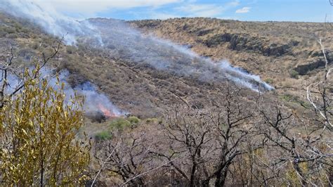 Incendio Forestal Consume Alrededor De Hect Reas En Los Municipios