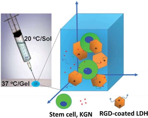 2d3d Nanocomposite Platform Incorporating Stem Cells Kartogenin