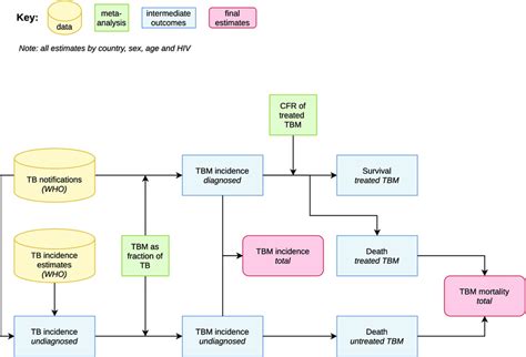 Flow Chart Of Overall Methods Tb Tuberculosis Tbm Tuberculous