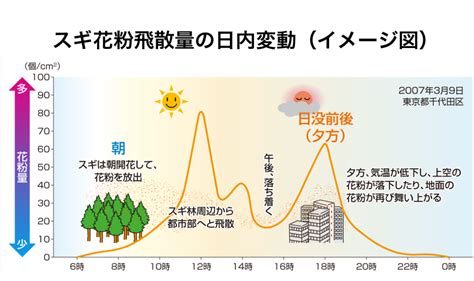 1日の中で花粉のピークっていつ？｜花粉情報2021｜アレグラfx アレルギー専用鼻炎薬｜久光製薬株式会社