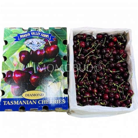 Australian Wandin Valley Farms Samba Red Cherry MomoBud