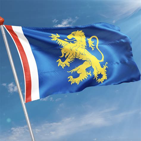 Vlag Gemeente Leeuwarden Kopen Snelle Levering 8 7