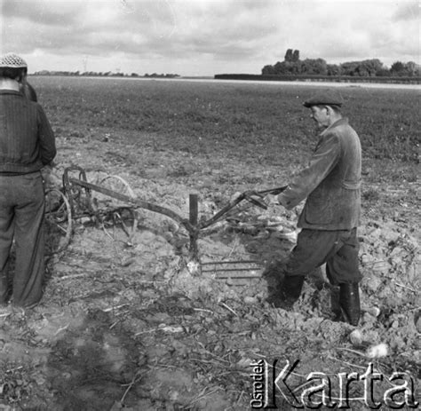 Fotokarta Nasze Zbiory Kolekcje Lata Polska Zbiory Buraka