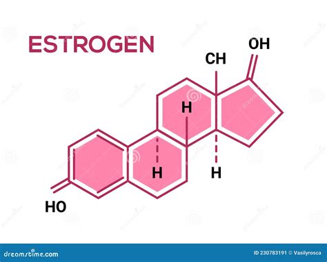 Estrogen Hormone Science Symbol Oestrogen Female Sexual Hormone Chemical Formula Stock Vector