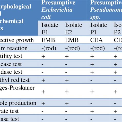 Morphological And Biochemical Features Of Selected Escherichia Coli And