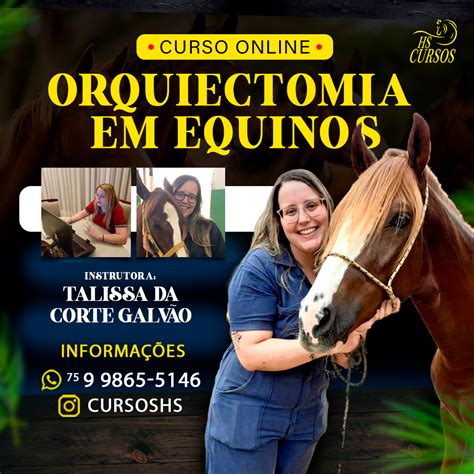 Orquiectomia Em EQUINOS