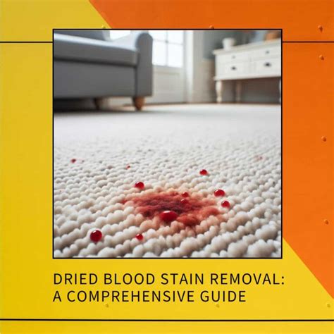 Red Wine Stains A Comprehensive Guide 2023