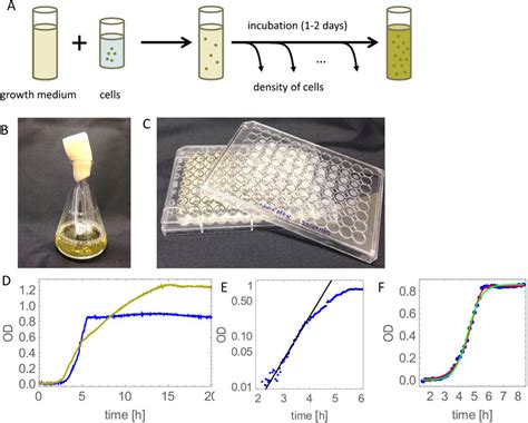 A Sketch Of A Typical Batch Culture Bacterial Growth Experiment B