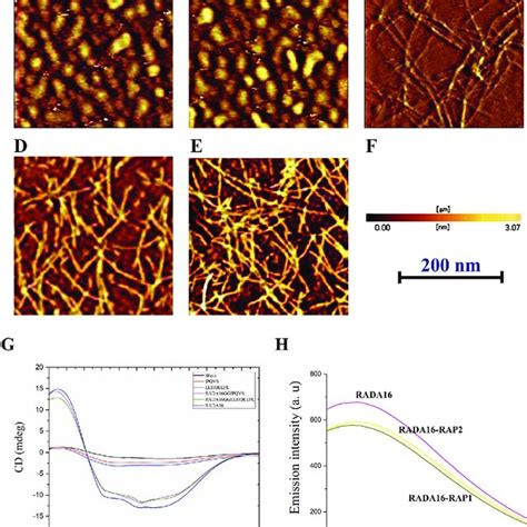 Characterization Of Oligopeptides And Peptide Nanogels A Atomic