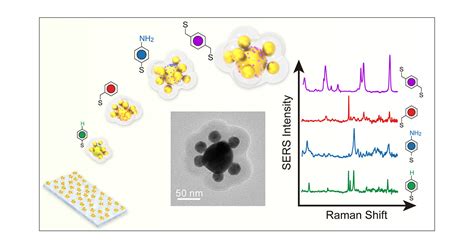 Silica Encapsulated CoreSatellite Gold Nanoparticle Assemblies As