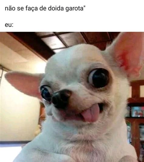 Fotos Engra Adas De Animais Memes These Are Memes That Use Anime And Or