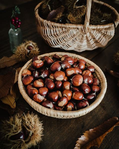 Foraging Sweet Chestnuts Identification And Preparation