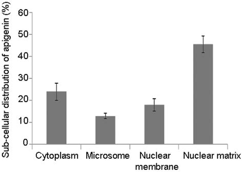 Sub Cellular Distribution Of Apigenin In Human Prostate Cancer Lncap