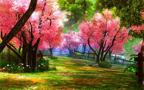 Download Flower Blossom Tree Spring Photography Park HD Wallpaper