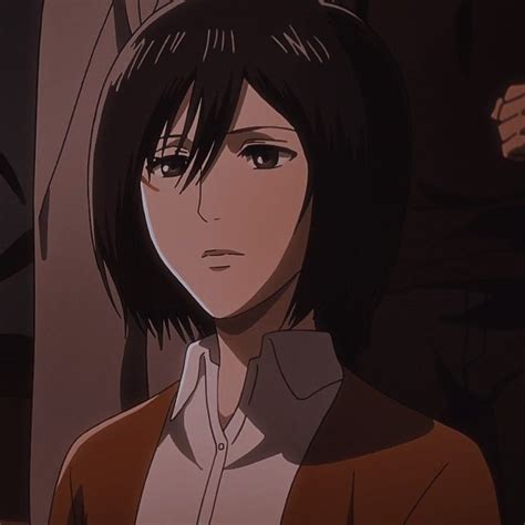 𝐀𝐎𝐓 𝐈𝐂𝐎𝐍𝐒 anime aesthetic aestheticicon aot mikasa on